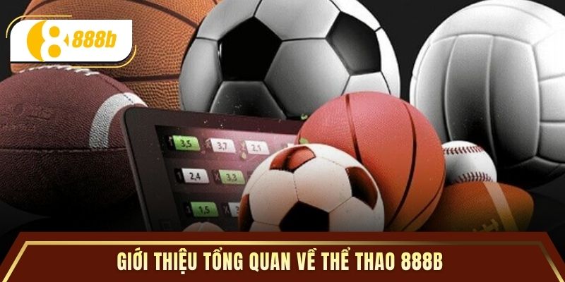 Giới thiệu tổng quan về thể thao 888B 
