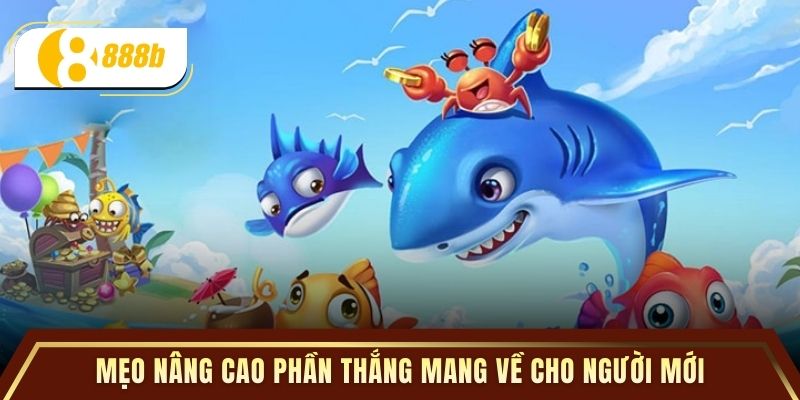 Mẹo nâng cao phần thắng mang về cho người mới