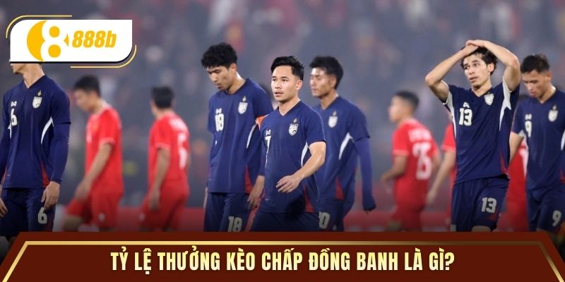 Tỷ lệ thưởng kèo chấp đồng banh là gì?